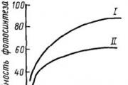 Geographic patterns of distribution of humic substances in soils