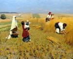 Ինչպես է գյուղատնտեսության օրը Բելառուսում:
