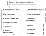 Types, forms and systems of remuneration - what is the difference