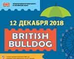 British Bulldog - English game competition