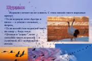 Migratory and wintering birds The work was carried out by a teacher-speech therapist of a municipal preschool educational institution of a combined kindergarten