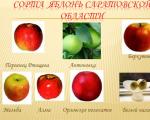 Ябълките са килер на здравето Как да се докаже в съда, че издръжката има непотвърден доход и да се увеличи размерът на издръжката