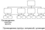 Project-targeted organizational structures Advantages of a project-based organizational structure