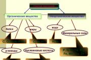 Denumirea funcției șefului unității structurale _________ _______________________ Semnătura Explicația semnăturii Vize Am citit instrucțiunile _________ _______________________ Semnătura Explicația semnăturii _______________________ Data