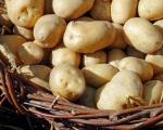 Growing potatoes for sale