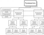 Hierarchical organizational structures for managing operational enterprises