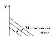 Budget constraint line