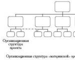 Project-targeted organizational structures Advantages of a project-based organizational structure